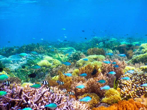 Gili Kondo Island Hopping Tour: Snorkeling, Sandbars & Mangrove Magic