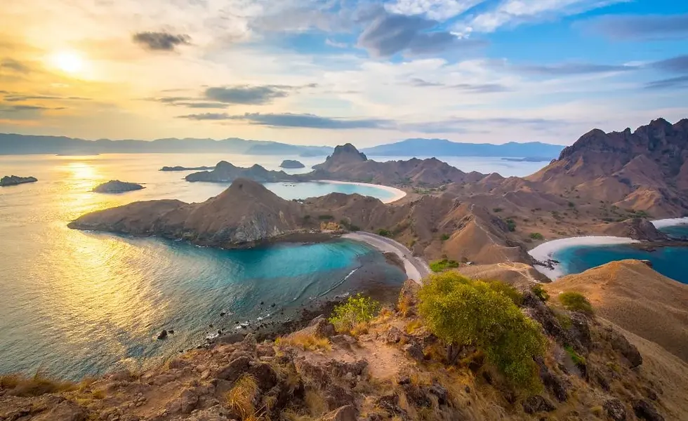 Komodo & Whale Shark Tour